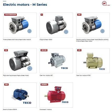 Motovario Electric Motors